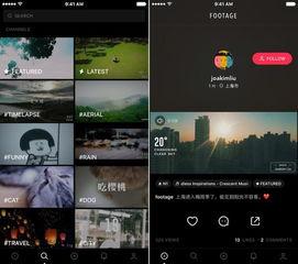 自慰器具在线视频,在线视频中的私密世界